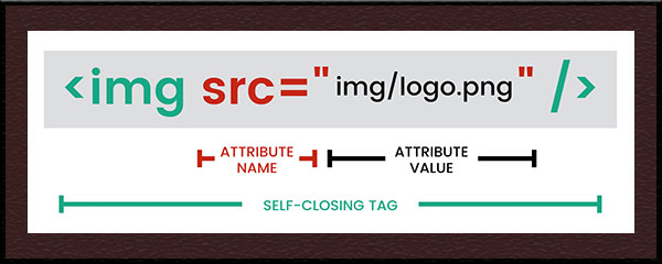 HTML-TAG5 تگ img در زبان HTML