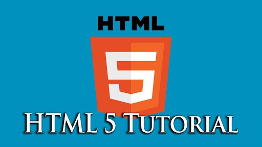 سند استاندارد HTML | سند HTML | تگ های استاندارد - سایت آموزی