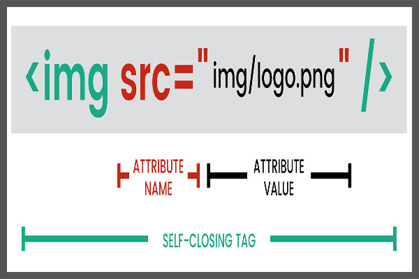 تگ img و نمایش تصاویر با html | درج عکس در html - سایت آموزی