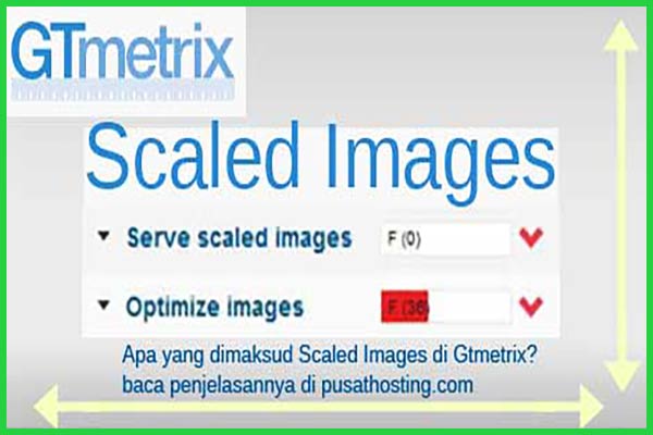 رفع خطای Serve scaled images در gtmetrix ابعاد عکس - سایت آموزی
