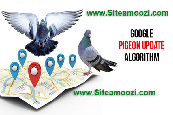 الگوریتم کبوتر گوگل چیست؟ | pigeon algorithm گوگل | الگوریتم کبوتر در سئو