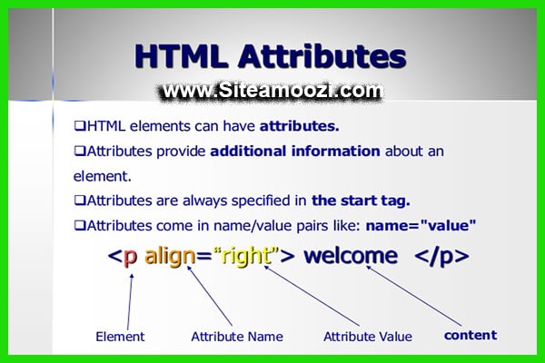 صفت خصوصی form در HTML5 | صفت form درون تگ input - سایت آموزی