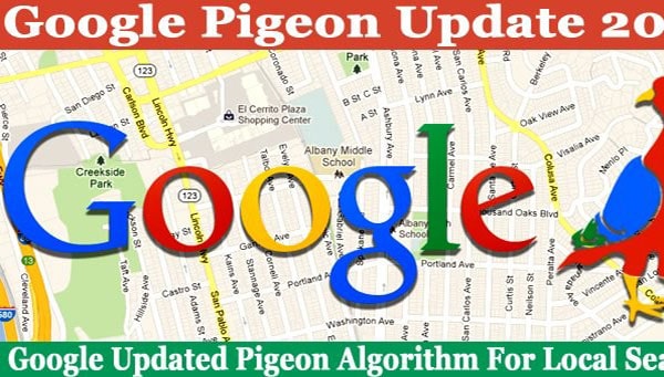 الگوریتم کبوتر گوگل چیست؟ | pigeon algorithm گوگل | الگوریتم کبوتر در سئو