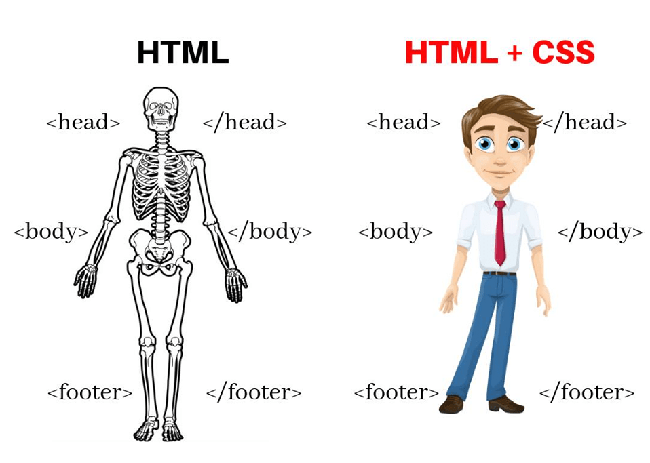 تفاوت HTML و CSS در طراحی سایت