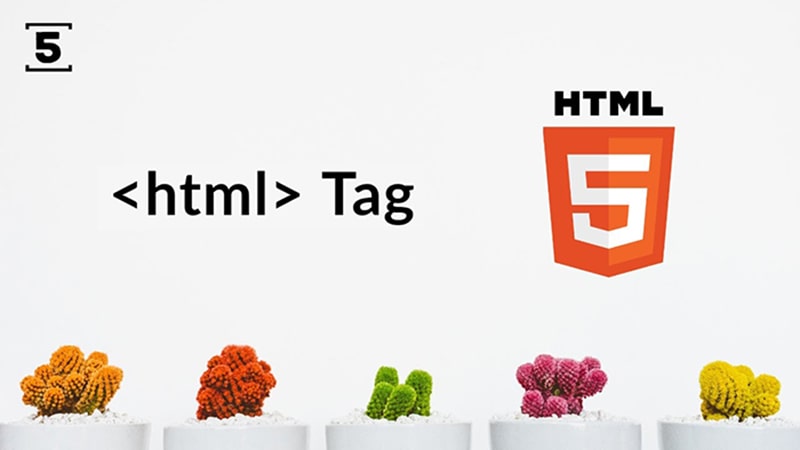 آموزش طراحی سایت با HTML5 و CSS3 و jQuery – سایت آموزی تگ html